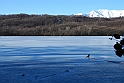 Lago Piccolo di Avigliana ghiacciato_012